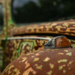 automobile-3394430_1920